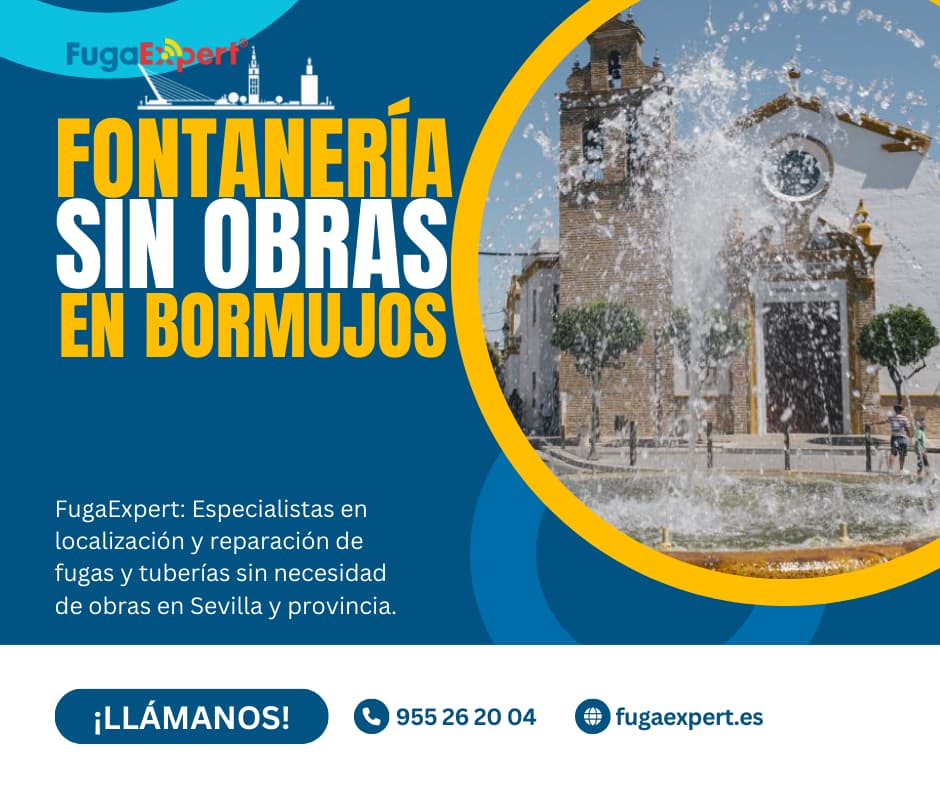 FONTANERÍA SIN OBRAS EN BORMUJOS
